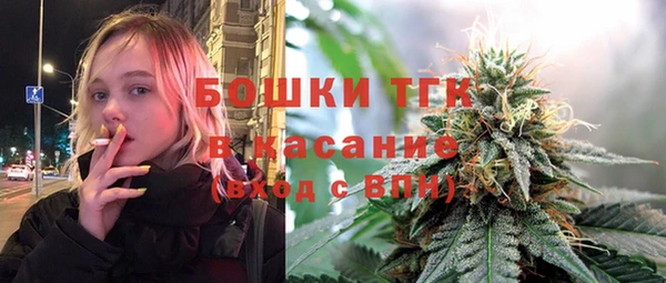 ГАЛЛЮЦИНОГЕННЫЕ ГРИБЫ Алзамай