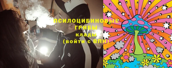 ГАЛЛЮЦИНОГЕННЫЕ ГРИБЫ Алзамай
