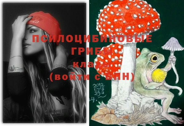 тгк Абдулино