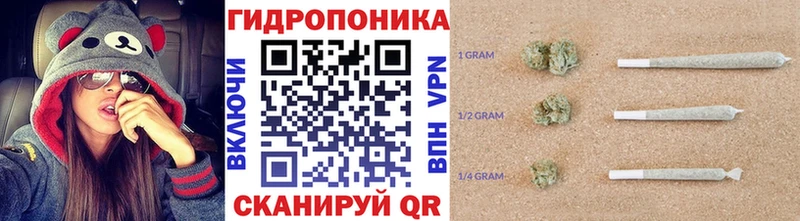 где купить наркоту Сочи Конопля OG Kush